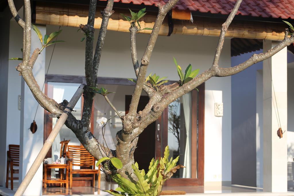 Soka Amed Beach Oda fotoğraf